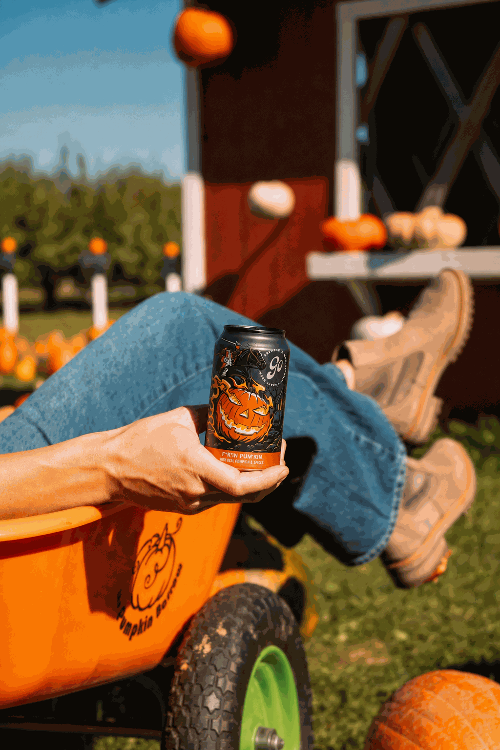 Pum'kin at the pumpkin patch